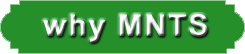 javascript button4